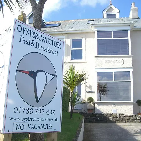 Oystercatcher-2