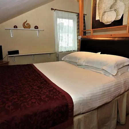The Berkeley Guesthouse-3
