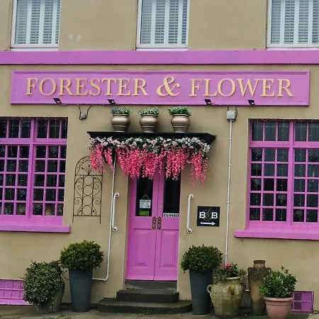 The Forester And Flower-2