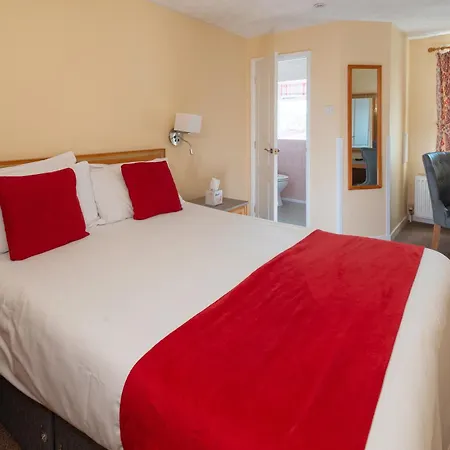 Hotel Rex-3