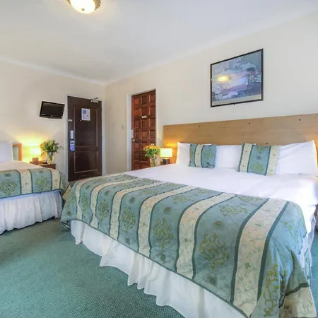The Dolphin Hotel-3