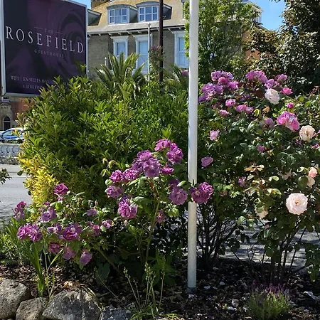 The Rosefield-2