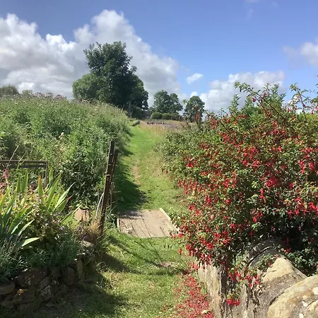 Balmungo Cottage B&B-3