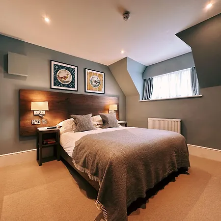 The Georgian, Haslemere, Surrey-2