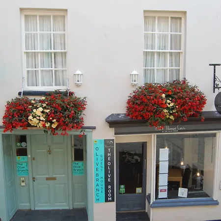 The Olive Branch-2