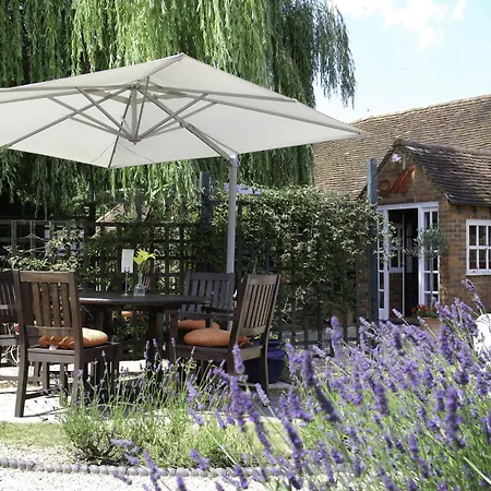 Cantley House Hotel - Wokingham-3