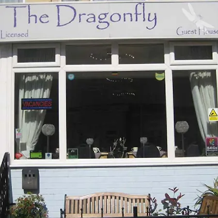 The Dragonfly-3
