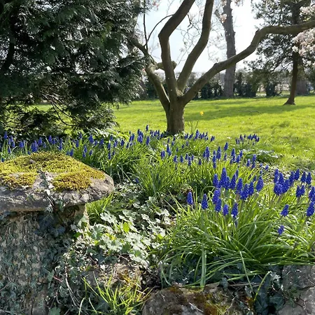 Hill Farm-3