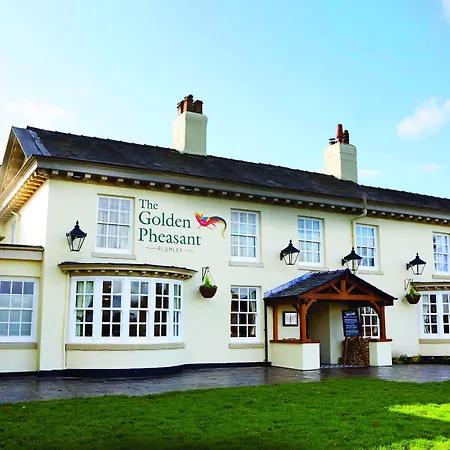The Golden Pheasant-3