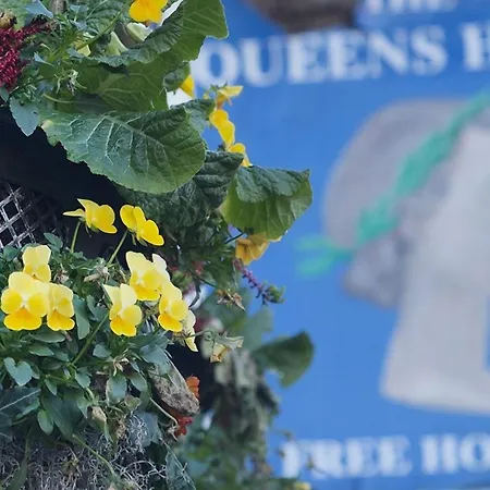 The Queens Head-3