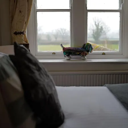 The Place To Stay-2
