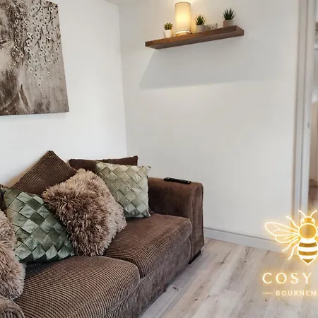 Cosy Bee-3