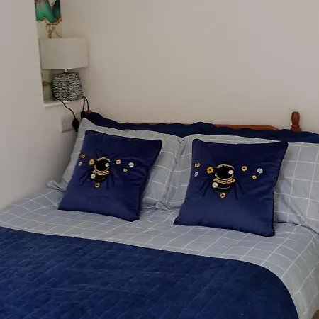 Small Double Self Contained Room Central Torquay-2