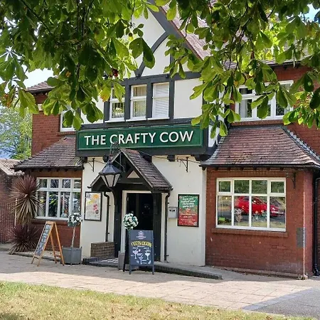 The Crafty Cow-2