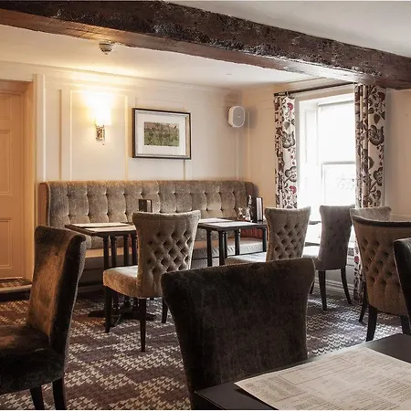 Trout Hotel-3