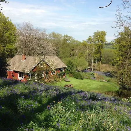 B&B Higher Quantock-2