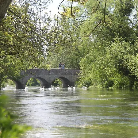The Swan At Stoford-3