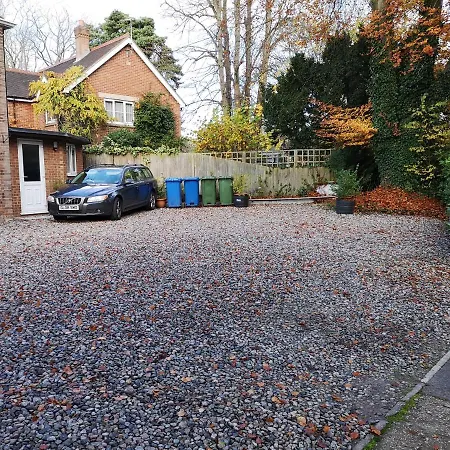 The Spinney-2