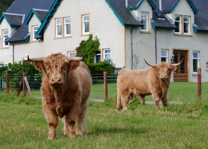 Daviot Lodge