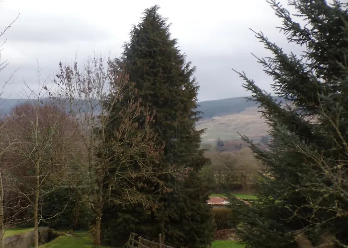 Prestwick Bed & Breakfasts 