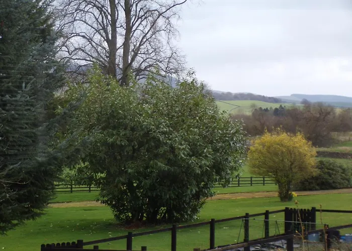 Motherwell Bed & Breakfasts 