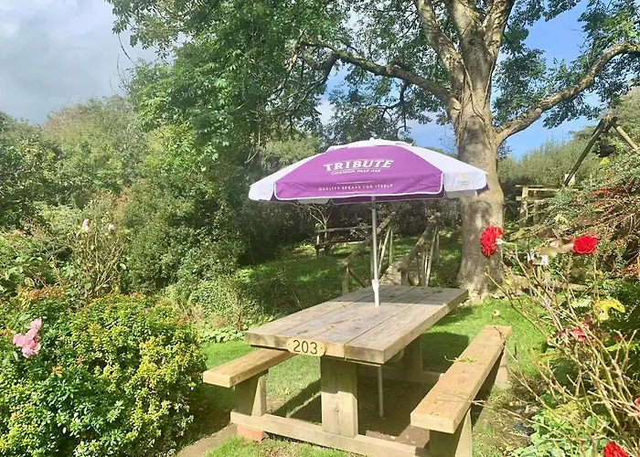 Bideford Dog Friendly Hotels