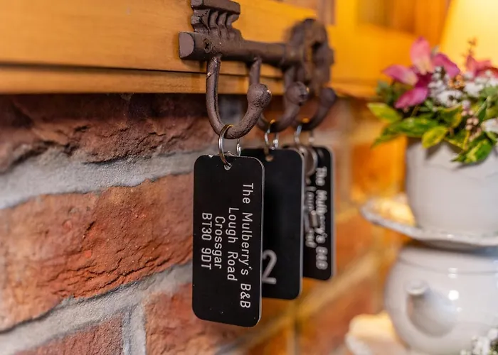 Downpatrick Lodging 