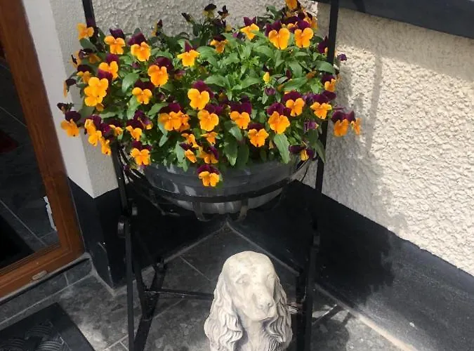 Drumcoo Guest House Enniskillen