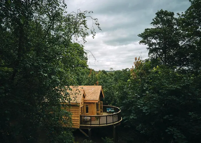 Wildhive Callow Hall Ashbourne 