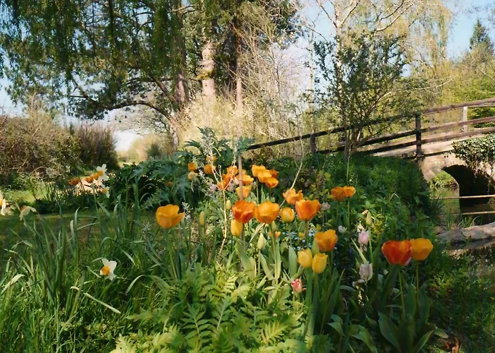 Sturminster Newton Hotels