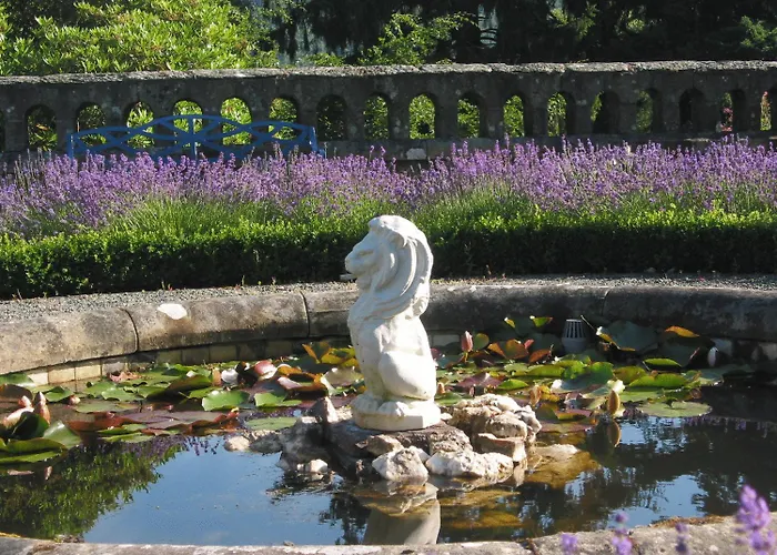 Dolgellau Beach hotels