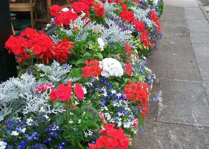 Trentham House Bed & Breakfast Paignton