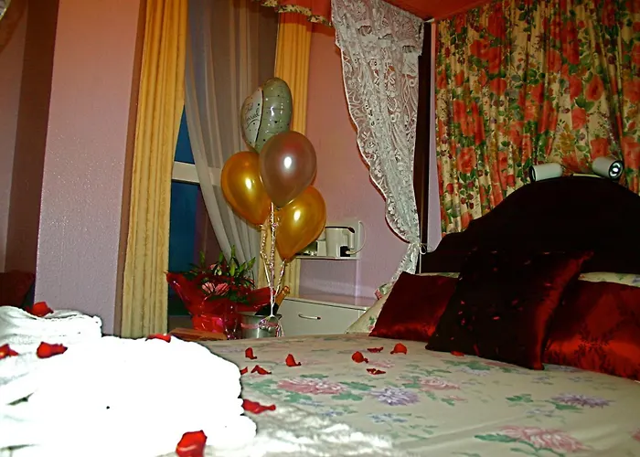 Paignton Hotels With Amazing Views