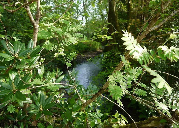 Holiday Cottages in Honiton