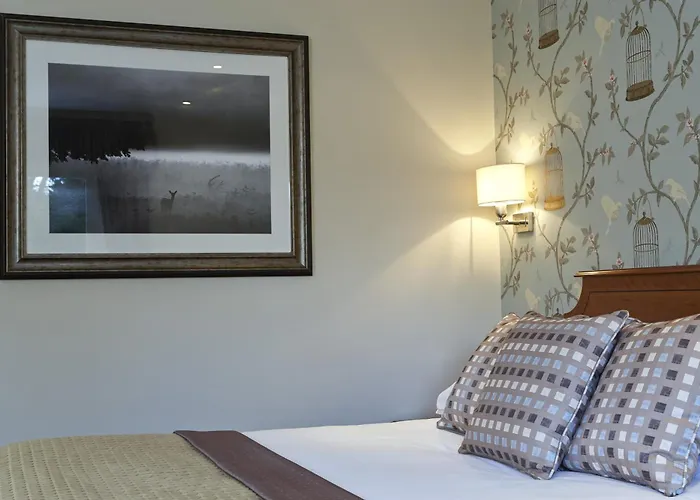 Guildford Lodging 