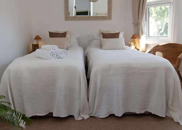 The Cherry Tree B&B Eastbourne