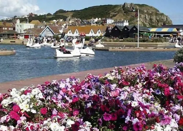 The Old Town Bed And Breakfast Hastings