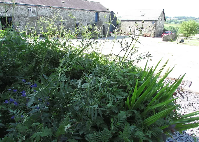 Boncath Hotels