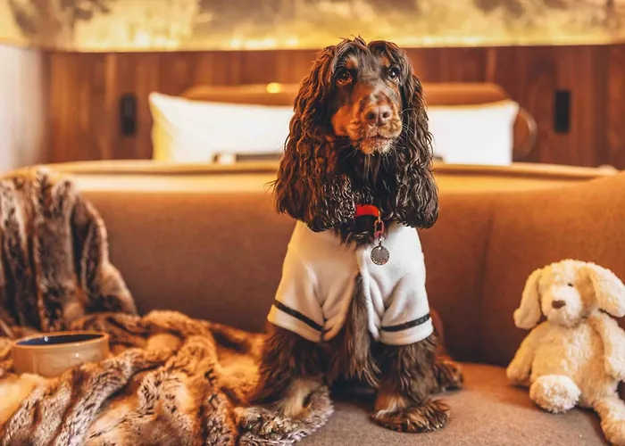 Kids Friendly Hotels in London