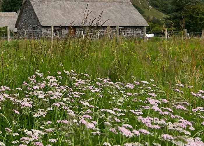 Cabin Rentals in Oban