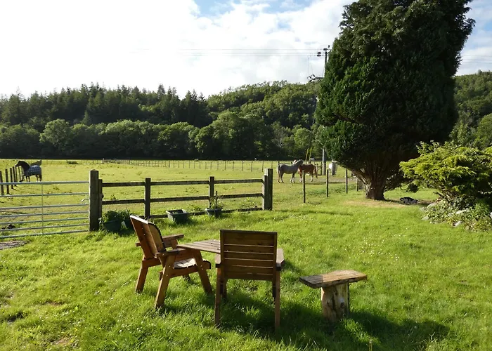 Dolgellau Lodging 