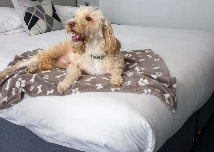 Best Bridgwater Hotels For Families With Kids