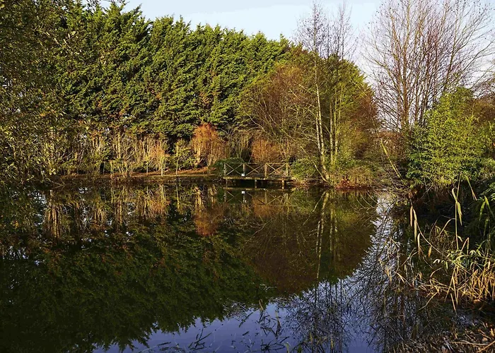 Thatcham Hotels