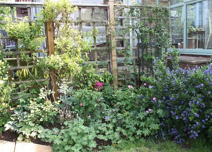 Bridge Cottage Bed And Breakfast Peterborough