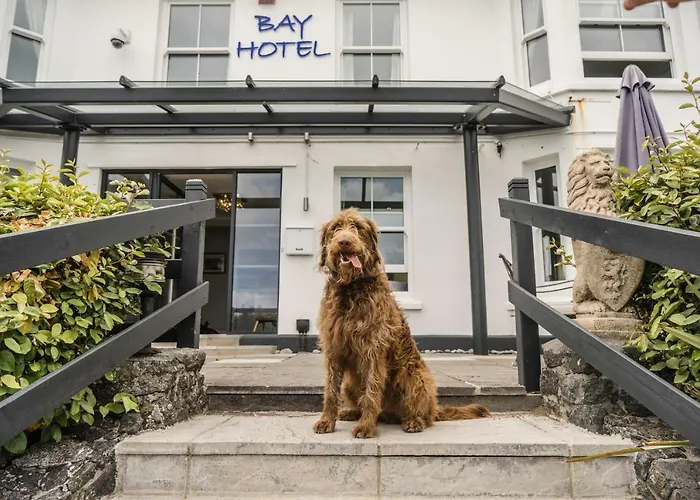 Coverack Hotels