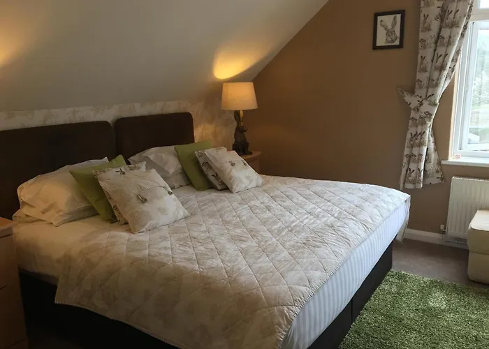 Paignton Dog Friendly Hotels